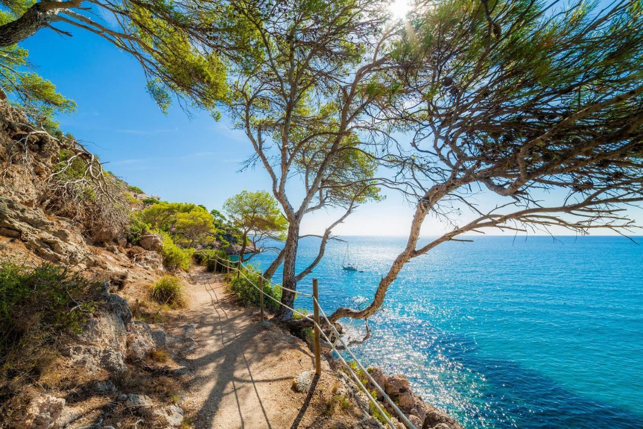 Massanet 2b Apartment Canyamel (Mallorca)
